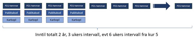 Figur 20 Kombinasjonsbehandling med immunterapi og kjemoterapi for plateepitelkarsinom