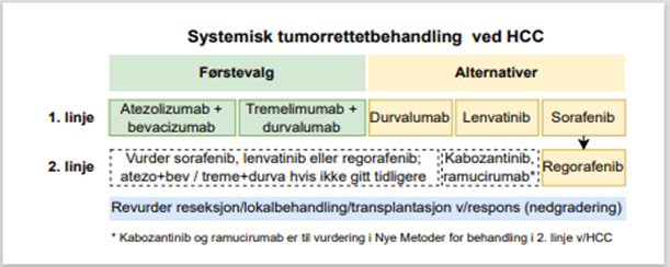 Figur 4. Skjematisk oversikt over aktuell systembehandling ved HC