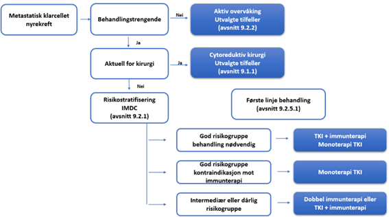 Figur 9.1: Oppsummering av anbefalinger