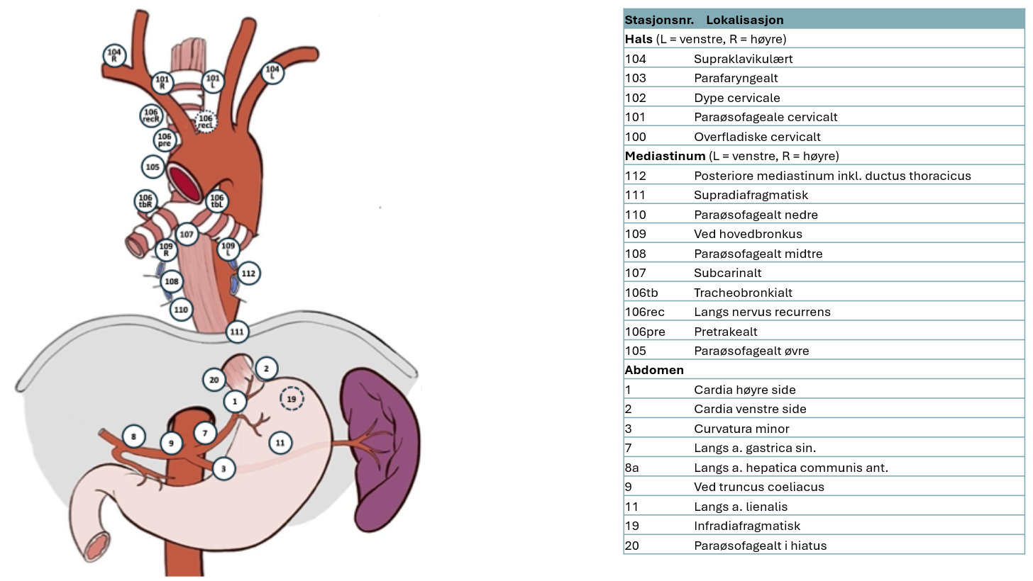 Figur 5 viser aktuelle lymfeknutestasjoner ved spiserørskreft i hht. Hentet fra Japanese Esophageal Society (JES) klassifikasjon, 11. utgave (Japanese Classification of Esophageal Cancer, 11th Edition: part I, 2017) (Kitagawa et al., 2019) CC-BY-4.0. Open access.