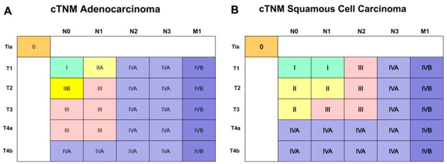 Tabell 2 (A og B): Pathologic stage groups (pTNM): adenocarcinoma. (B) Pathologic stage groups (pTNM): squamous cell carcinoma. Klinisk Stadieinndeling i henhold til TNM, 8. utgave, for henholdsvis adenokarsinom (A) og plateepitelkarsinom (B).