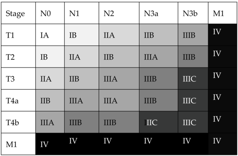 Tabell 4: pTNM Patologisk klassifikasjon: Hentet fra stadieinndeling ihenhold til TNM, 8. utgave, for adenokarsinom i magesekk. Gjengitt fra Mantziari et al., 2023. Med tillatelse fra John Wiley and Sons i 2024.