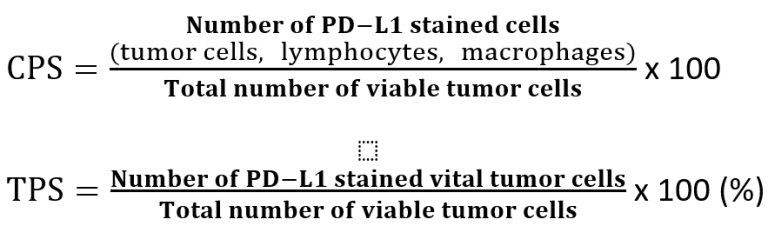 Beregning av Combined Positive Score (CPS) og Tumor Proportion Score (TPS)