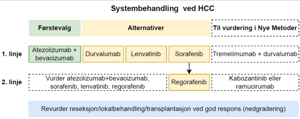 Figur 4. Skjematisk oversikt over aktuell systembehandling ved HC