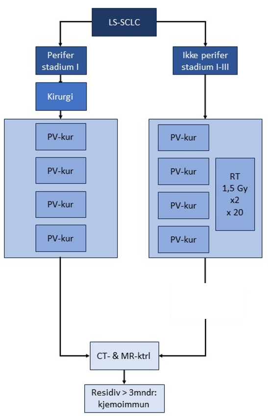 Figur 22 Algoritme for behandling av LS-SCLC