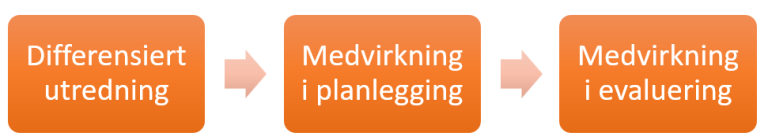 Figur 1. Fokusområder for videre monitorering av nasjonale pasientforløp innen psykisk helse og rus